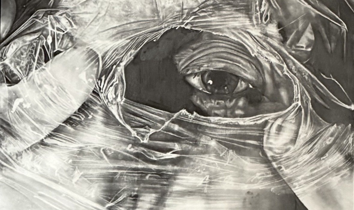 Close-up A-Level artwork showing an eye beneath translucent wrapping